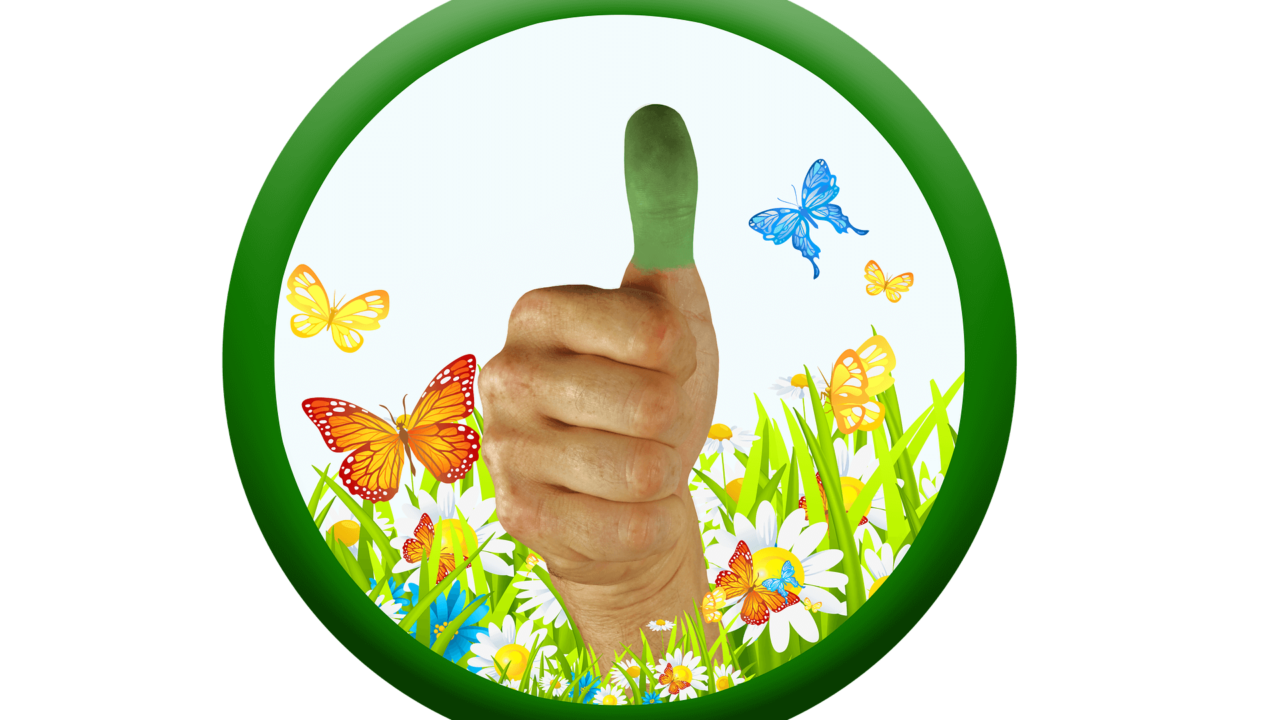 緑の親指