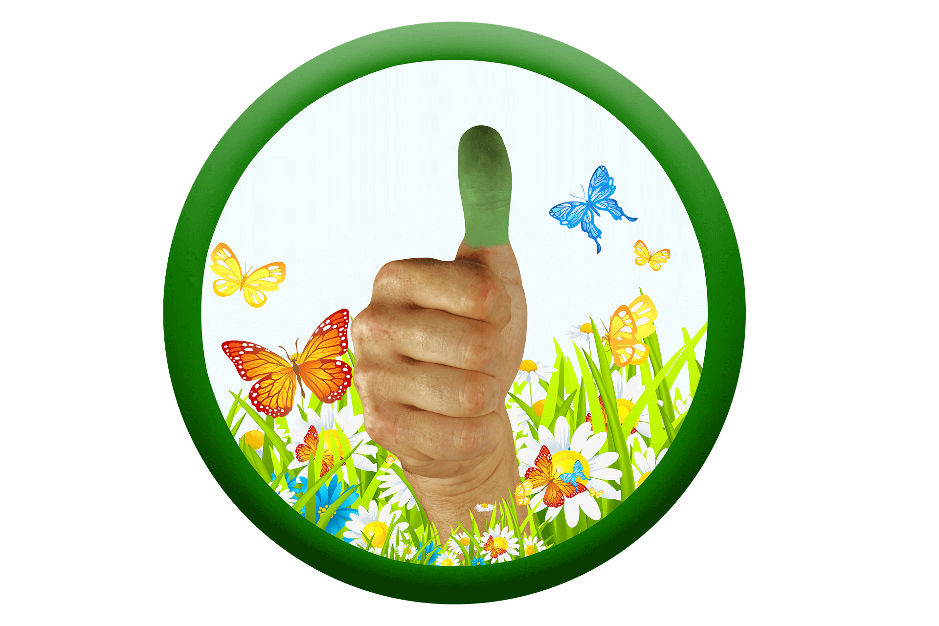 【英単語】「green thumb」ってどんな意味？使い方は？｜tobiuma