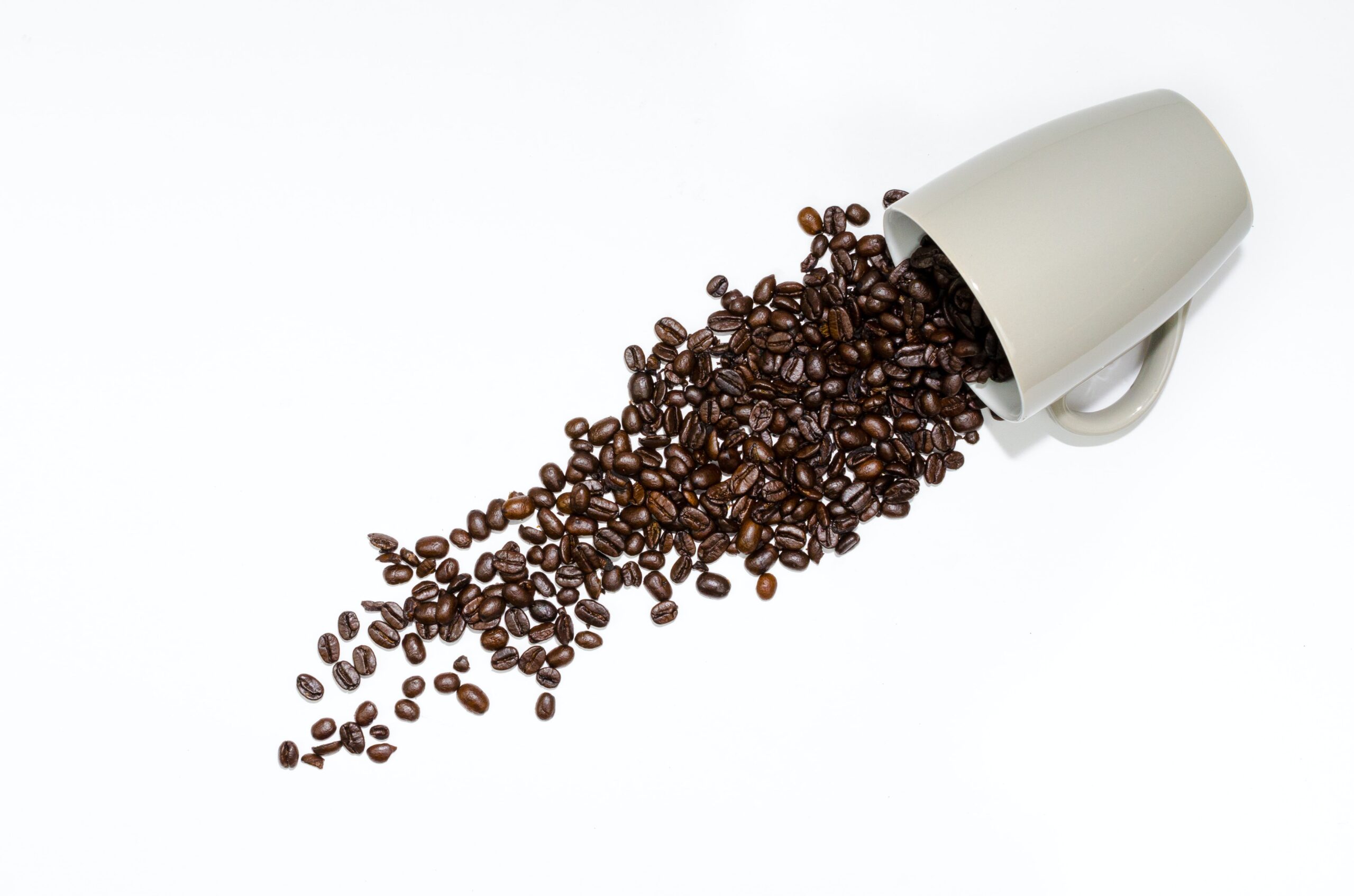 Top Mixologists Spill The Beans: Their Favorite Philly Sidecar Twist! - 9vdi6hm